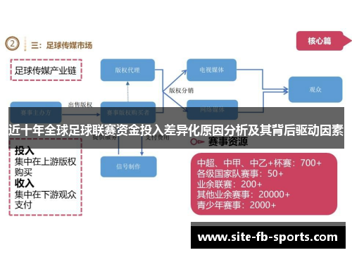 近十年全球足球联赛资金投入差异化原因分析及其背后驱动因素