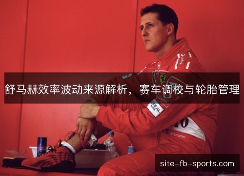 舒马赫效率波动来源解析,赛车调校与轮胎管理 舒马赫效率波动来源解析,赛车调校与轮胎管理