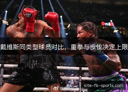 戴维斯同类型球员对比，重拳与步伐决定上限